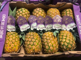 ANANAS SWEET + - 12KG