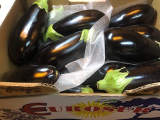 AUBERGINE + - 5KG