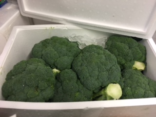 BROCOLI Chou + - 6KGS