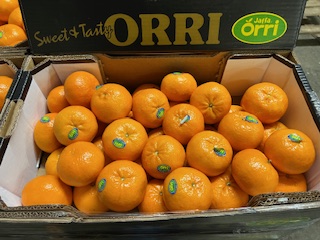 CLEMENTINE ORRI + - 7 KGS