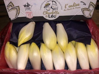 ENDIVE Vrac + - 5KG