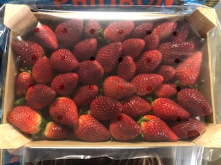 FRAISE 1 KG