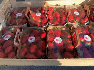 FRAISE ( 500 gr ) CLERY  X10