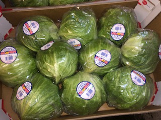 SALADE Laitue Iceberg + -  6KG