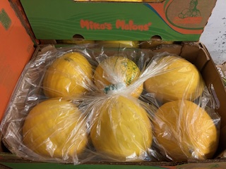 MELON JAUNE + - 10KGS