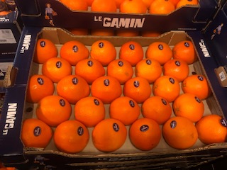 ORANGE GAMIN + - 8 kgs