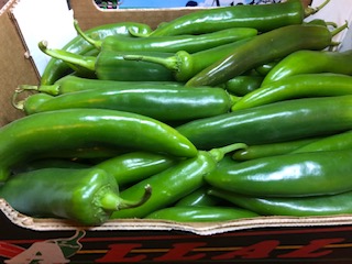 PIMENT Vert + - 4KG