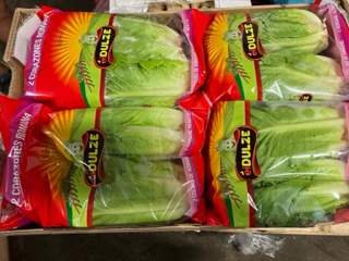 SALADE ROMAINE X8