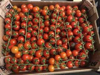 TOMATE Cerise Grappe + - 3kgs